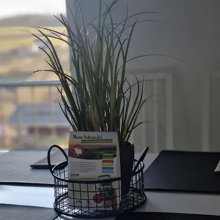 Wellnesshaus Dorfblick Mit Outdoor-jacuzzi Und Infrarotkabine, Neu! *